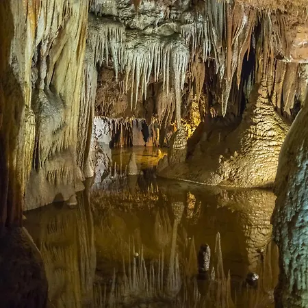 In - Istrien 10267 *