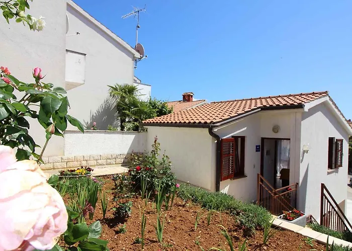 In - Istrien 10267 *