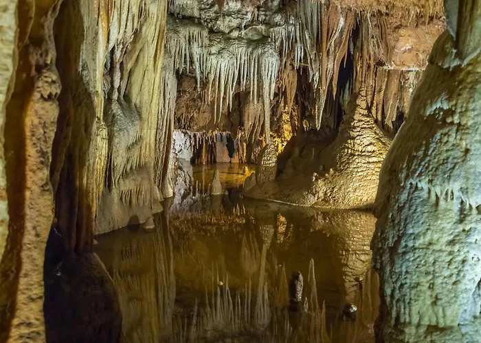 In - Istrien 10267 *